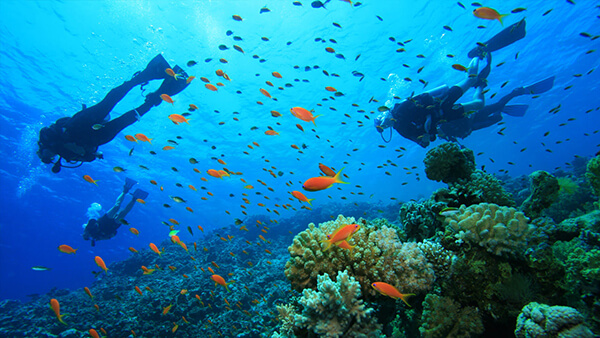Scuba-Diving Tamarindo