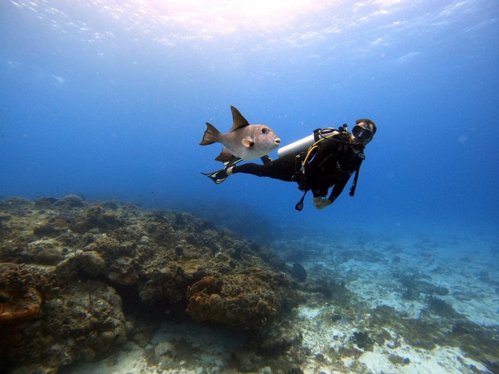 scuba diving tamarindo costa rica